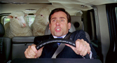 Steve Carell