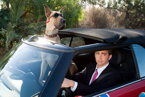 Marmaduke, Lee Pace