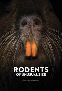 RODENTS OF UNUSUAL SIZE – Quinn Costello Interview