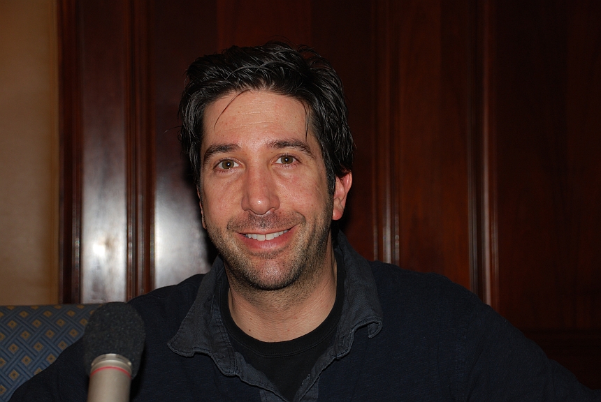 David Schwimmer